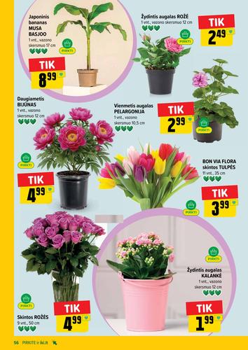 IKI akcijų leidinys Nr. 17 nuo balandžio 20 d.