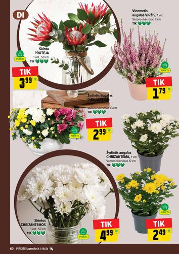 IKI akcijų leidinys Nr. 44 nuo spalio 26 d.
