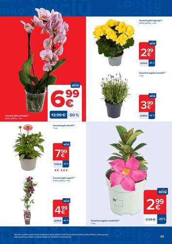 MAXIMA akcijų leidinys Nr. 31 nuo liepos 28 d.