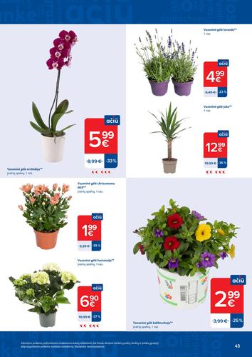 MAXIMA akcijų leidinys "AČIŪ savaitinis  Nr. 24" nuo birželio 9 d.