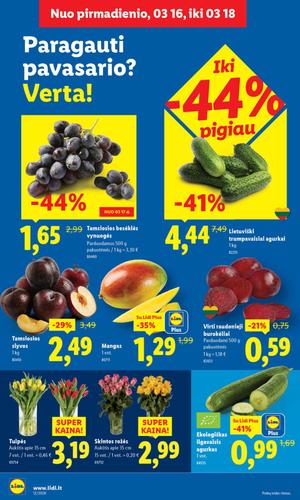 LIDL maisto akcijų leidinys nuo kovo 16 d.