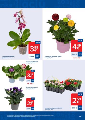 MAXIMA akcijų leidinys Nr. 17 nuo balandžio 21 d.