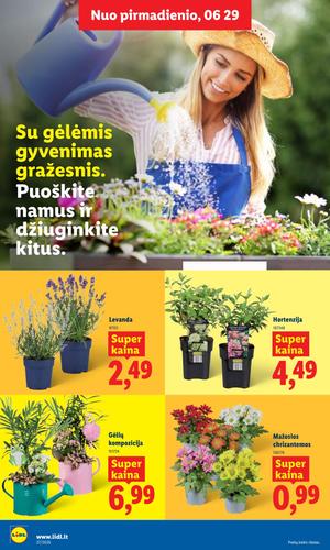 LIDL maisto akcijų leidinys nuo birželio 29 d.