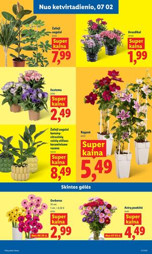 LIDL maisto akcijų leidinys nuo birželio 29 d.
