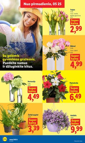LIDL maisto akcijų leidinys nuo gegužės 25 d.