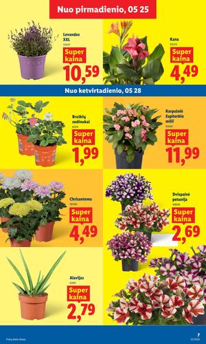 LIDL maisto akcijų leidinys nuo gegužės 25 d.