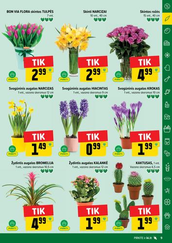 IKI akcijų leidinys Nr. 5 nuo sausio 26 d.