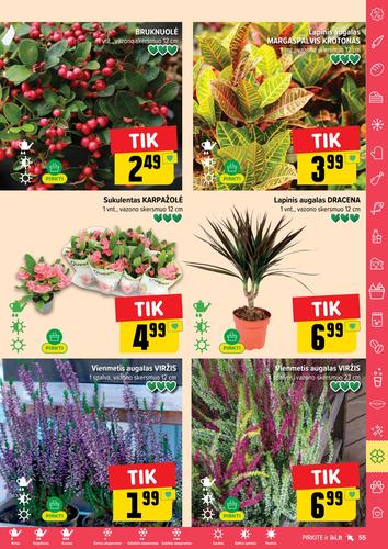 IKI akcijų leidinys "IKI Kaininis leidinys Nr. 38" nuo rugsėjo 15 d.