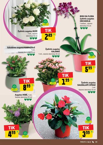 IKI akcijų leidinys Nr. 30 nuo liepos 20 d.