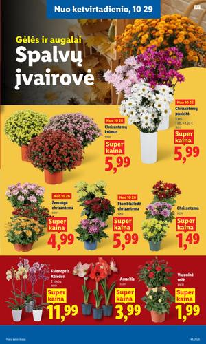LIDL maisto akcijų leidinys nuo spalio 26 d.