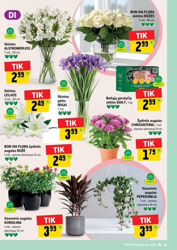 IKI akcijų leidinys Nr. 37 nuo rugsėjo 7 d.