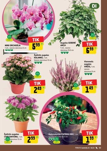 IKI akcijų leidinys Nr. 40 nuo rugsėjo 28 d.