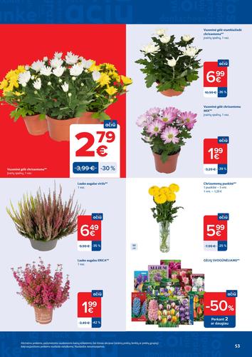 MAXIMA akcijų leidinys Nr. 43 nuo spalio 20 d.