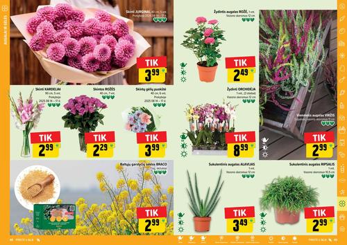 IKI akcijų leidinys "IKI Kaininis leidinys Nr. 33" nuo rugpjūčio 11 d.
