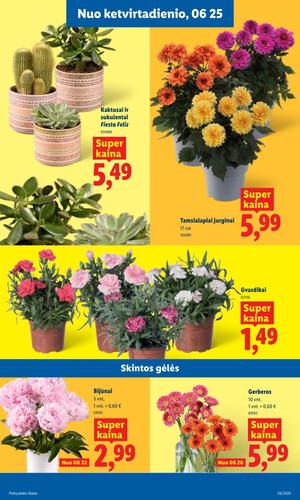 LIDL maisto akcijų leidinys nuo birželio 22 d.