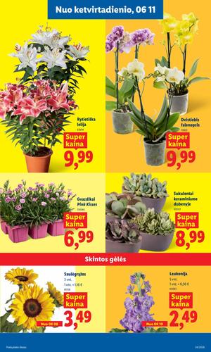 LIDL maisto akcijų leidinys nuo birželio 8 d.