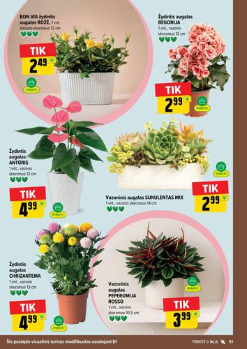 IKI akcijų leidinys Nr. 33 nuo rugpjūčio 10 d.