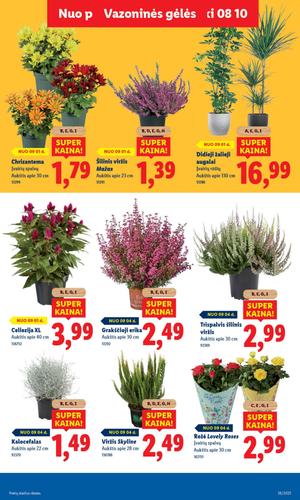 LIDL maisto akcijų leidinys nuo ketvirtadienio, rugsėjo 4 d.
