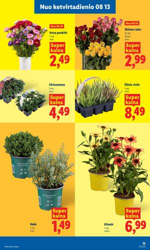 LIDL maisto akcijų leidinys nuo rugpjūčio 10 d.