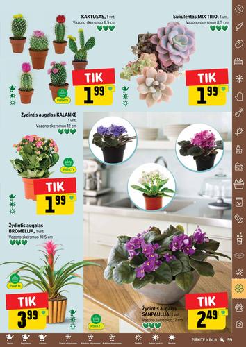 IKI akcijų leidinys Nr. 3 nuo sausio 12 d.