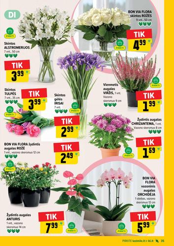 IKI akcijų leidinys Nr. 41 nuo spalio 5 d.