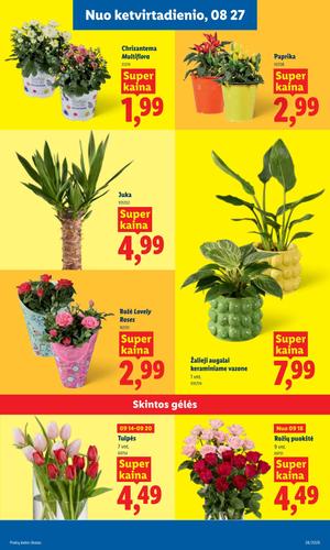 LIDL maisto akcijų leidinys nuo rugsėjo 14 d.