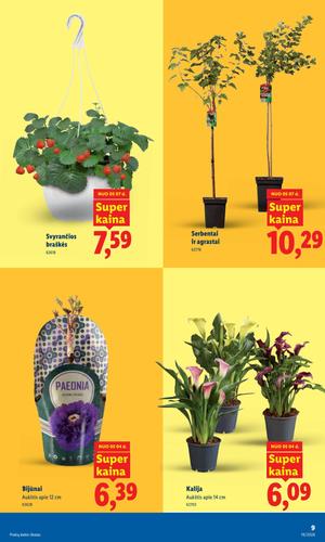 LIDL maisto akcijų leidinys nuo gegužės 4 d.