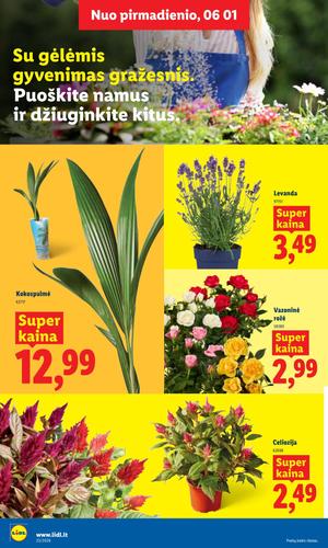 LIDL maisto akcijų leidinys nuo birželio 1 d.