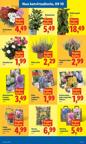 LIDL maisto akcijų leidinys nuo rugsėjo 7 d.