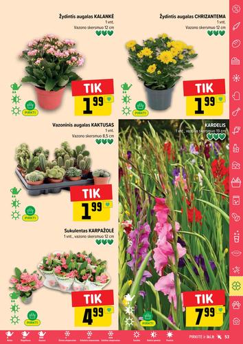 IKI akcijų leidinys "IKI Kaininis leidinys Nr. 34" nuo rugpjūčio 18 d.