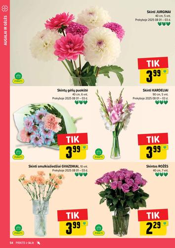 IKI akcijų leidinys "IKI Kaininis leidinys Nr. 31" nuo liepos 28 d.