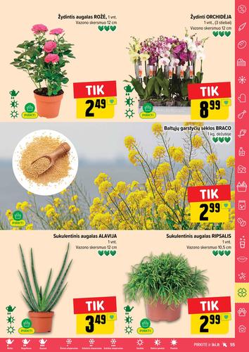 IKI akcijų leidinys "IKI Kaininis leidinys Nr. 31" nuo liepos 28 d.