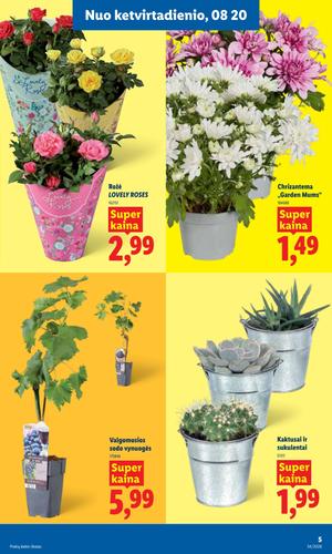 LIDL maisto akcijų leidinys nuo rugpjūčio 17 d.