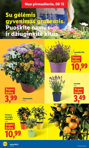 LIDL maisto akcijų leidinys nuo birželio 15 d.