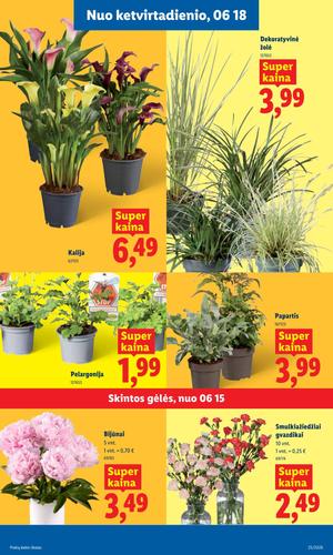 LIDL maisto akcijų leidinys nuo birželio 15 d.