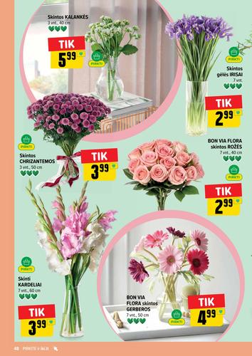 IKI akcijų leidinys Nr. 31 nuo liepos 27 d.