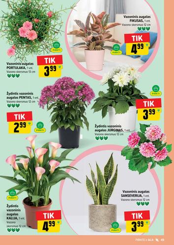 IKI akcijų leidinys Nr. 31 nuo liepos 27 d.