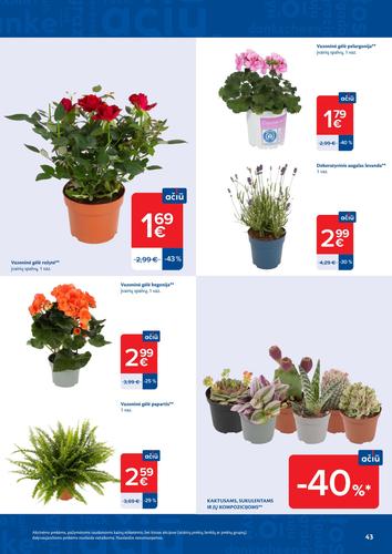 MAXIMA akcijų leidinys Nr. 25 nuo birželio 16 d.