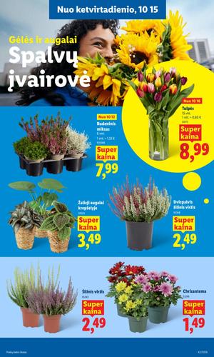 LIDL maisto akcijų leidinys nuo spalio 12 d.