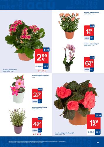 MAXIMA akcijų leidinys Nr. 26 nuo birželio 23 d.